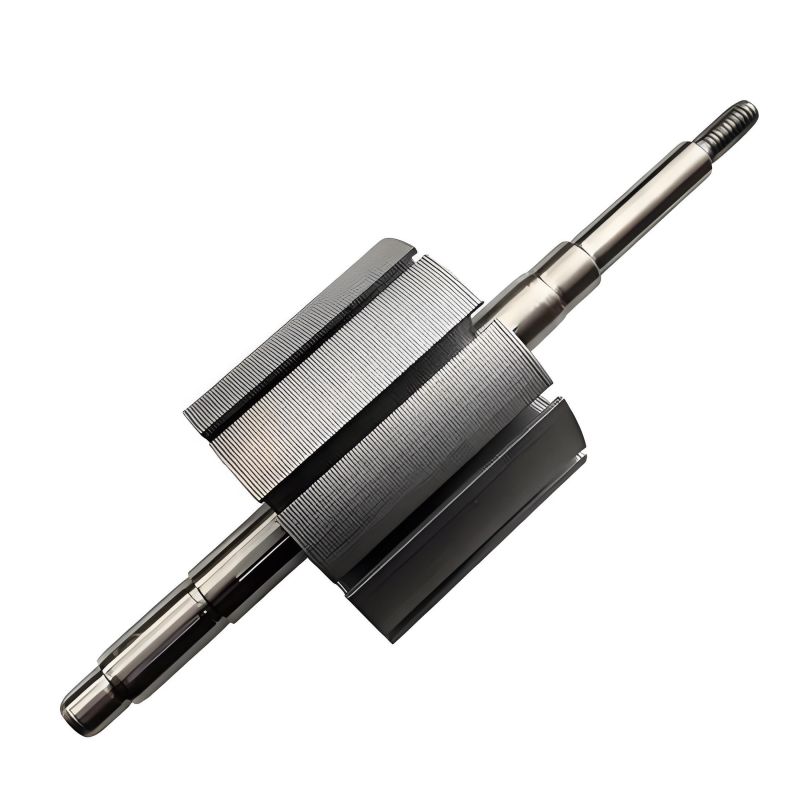 Rotor motora